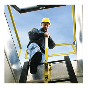 Williams Brothers - WB LadderUp Series Safety Posts